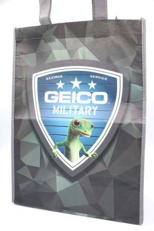 GeicoBag 1